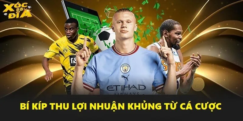 Thể Thao Xocdia88 - Thế Giới Giải Trí Sống Động Từng Giây 5 Bí kíp thu lợi nhuận khủng từ cá cược thể thao